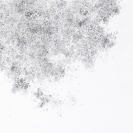 dot portraiture1 detail