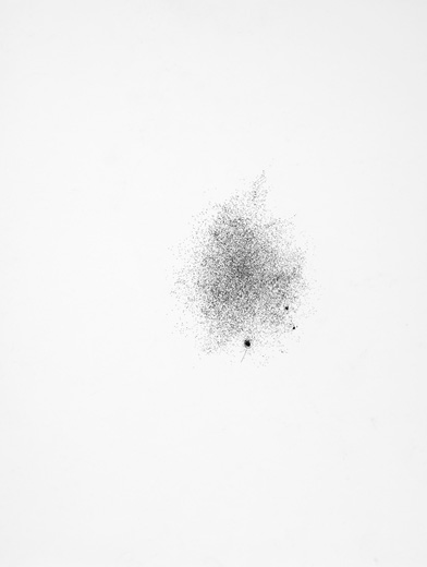 dot portraiture3