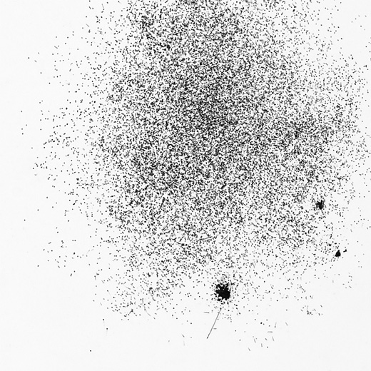 dot portraiture3 detail